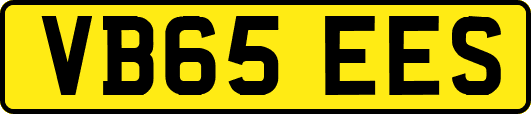 VB65EES
