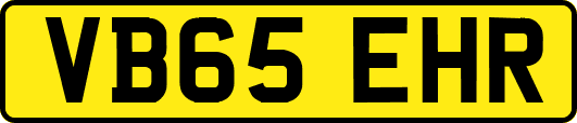 VB65EHR