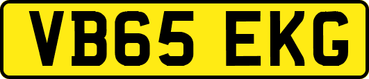 VB65EKG