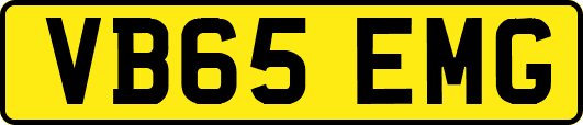 VB65EMG
