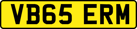 VB65ERM