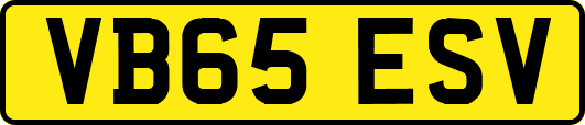 VB65ESV
