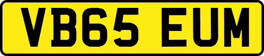VB65EUM