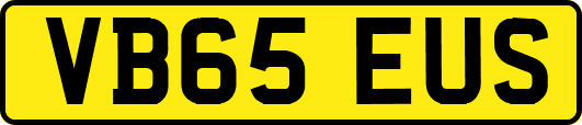 VB65EUS