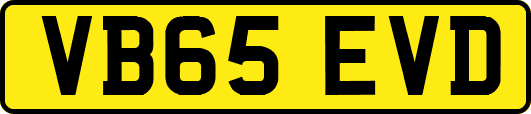 VB65EVD