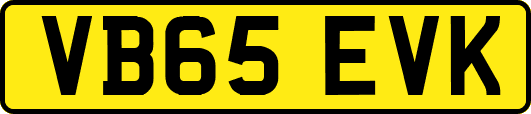 VB65EVK