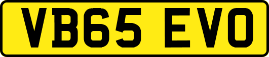 VB65EVO