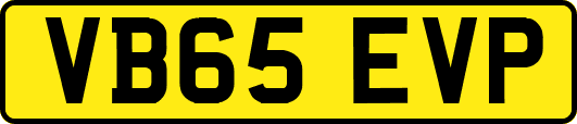 VB65EVP