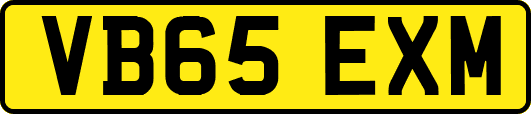 VB65EXM