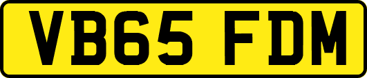 VB65FDM
