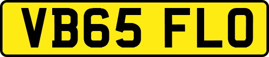 VB65FLO