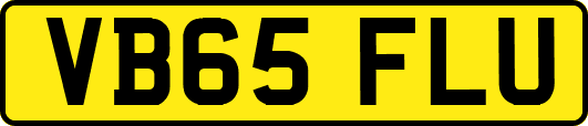 VB65FLU