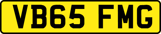 VB65FMG