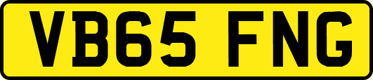 VB65FNG