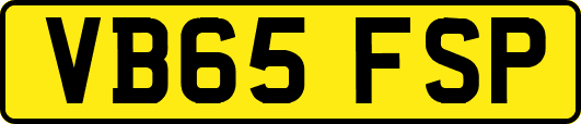 VB65FSP