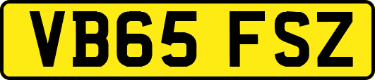 VB65FSZ