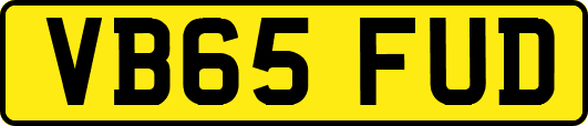 VB65FUD
