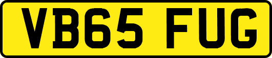 VB65FUG