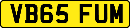 VB65FUM