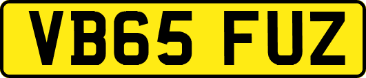 VB65FUZ