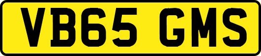 VB65GMS