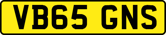 VB65GNS