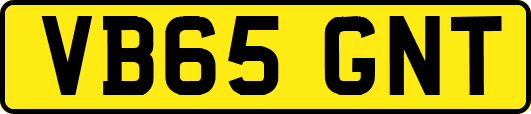 VB65GNT