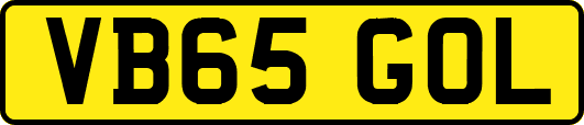 VB65GOL