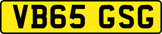 VB65GSG