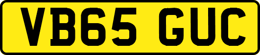 VB65GUC