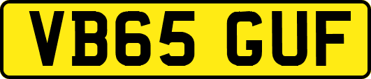 VB65GUF