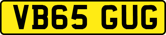 VB65GUG