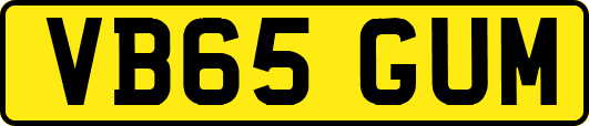 VB65GUM