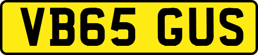 VB65GUS