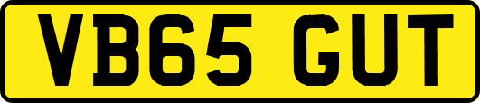VB65GUT