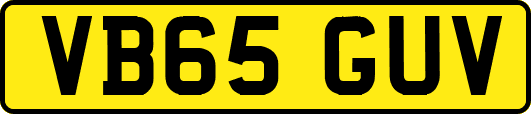 VB65GUV