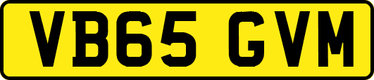 VB65GVM
