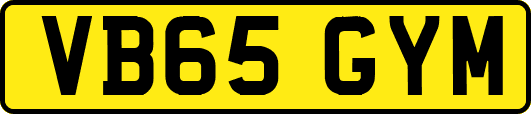 VB65GYM