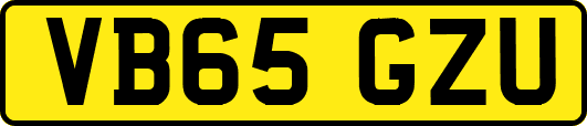 VB65GZU