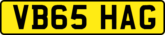 VB65HAG