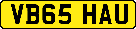 VB65HAU