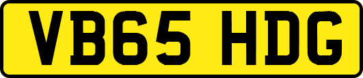 VB65HDG