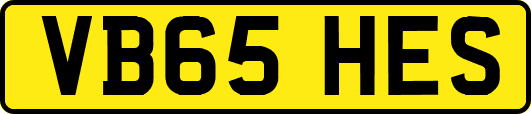 VB65HES