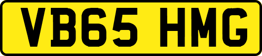 VB65HMG