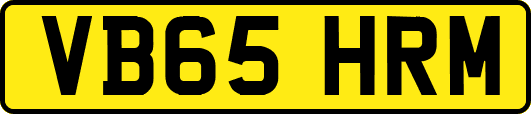 VB65HRM