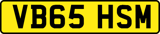 VB65HSM
