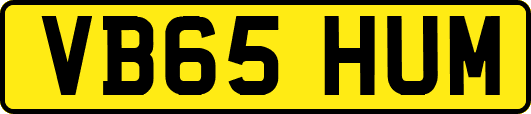 VB65HUM