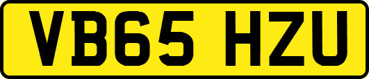 VB65HZU