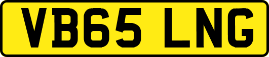 VB65LNG