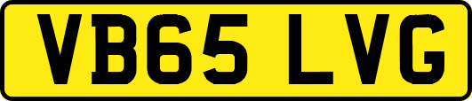 VB65LVG